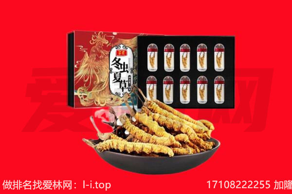 通渭县回收虫草.jpg